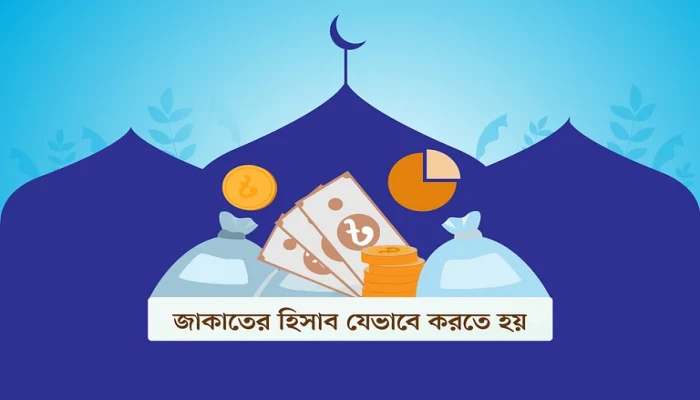 https://www.bijoybd71.com.monirulbd.com/desktop-logo-image/171107826520240309_020931.png
