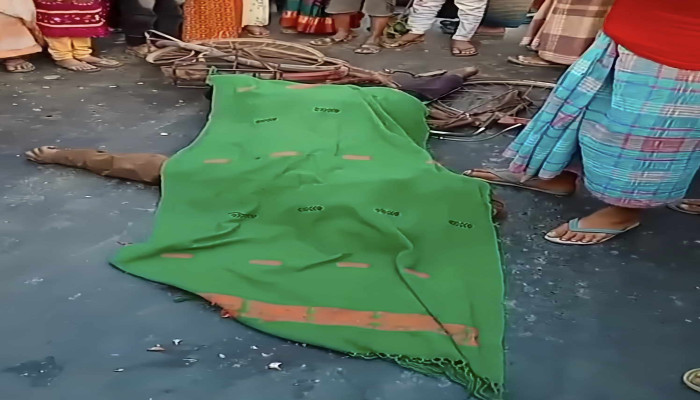 গোদাগাড়ীতে সড়ক দুর্ঘটনায় ১ জন নিহত