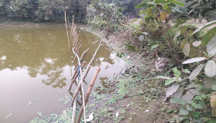 সলঙ্গায় বিএনপি পরিচয়ে জোরপূর্বক পুকুরের যায়গা দখলের অভিযোগ