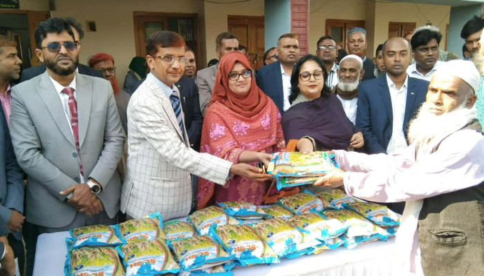 উল্লাপাড়ায় বিনামূল্যে ৯ শত প্রান্তিক কৃষকের মাঝে হাইব্রিড ধানের বীজ বিতরণ