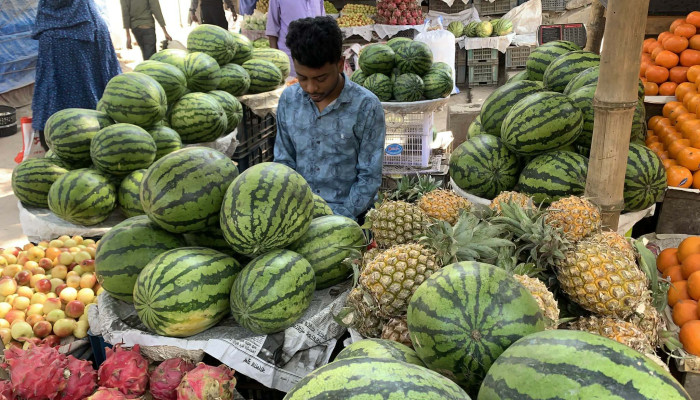 উল্লাপাড়ার বাজারে রসালো তরমুজের সমারোহ, জমে উঠছে বেচাকেনা
