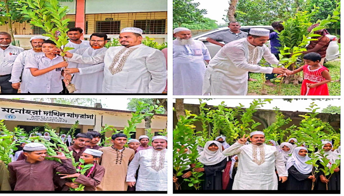উল্লাপাড়ায় হাজী আব্দুল মমিন এর উদ্যোগে বিনামূল্যে বৃক্ষের চারা বিতরণ